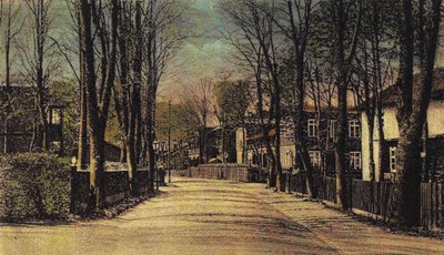 Поселковая улица. Около 1910 г.